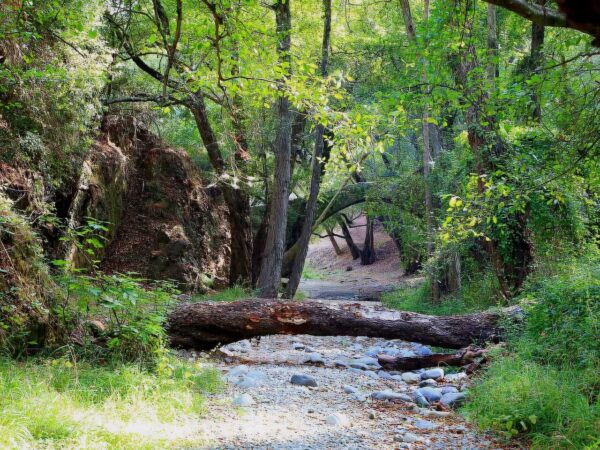 Beauty, Nature and Charm of Troodos Mountains - Image 2