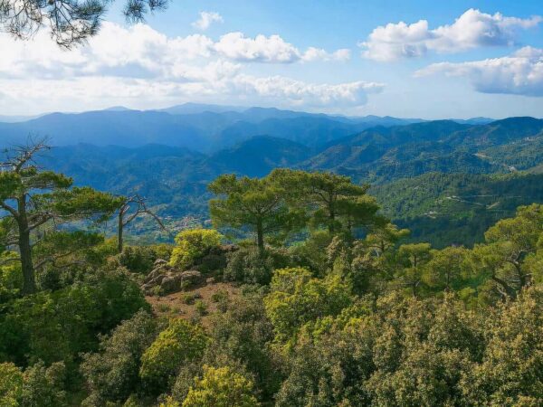 Beauty, Nature and Charm of Troodos Mountains - Image 3