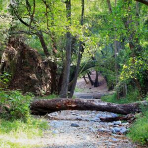 Limassol: Private Mountain Adventure – Nature & Culture