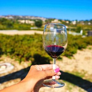 Paphos: Wine Tour – Vineyards, Tastings & Scenic Views