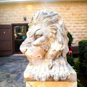 Tailor-Made Tours in Cyprus